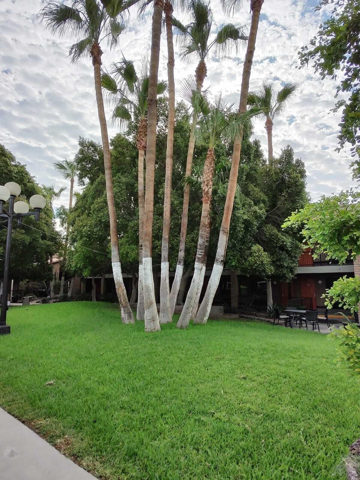 Hotel Colonial Mexicali Exteriör bild